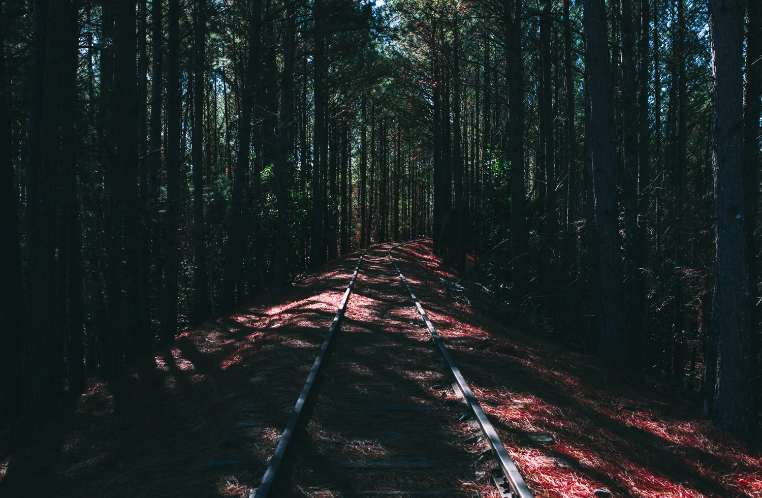 hiking-path