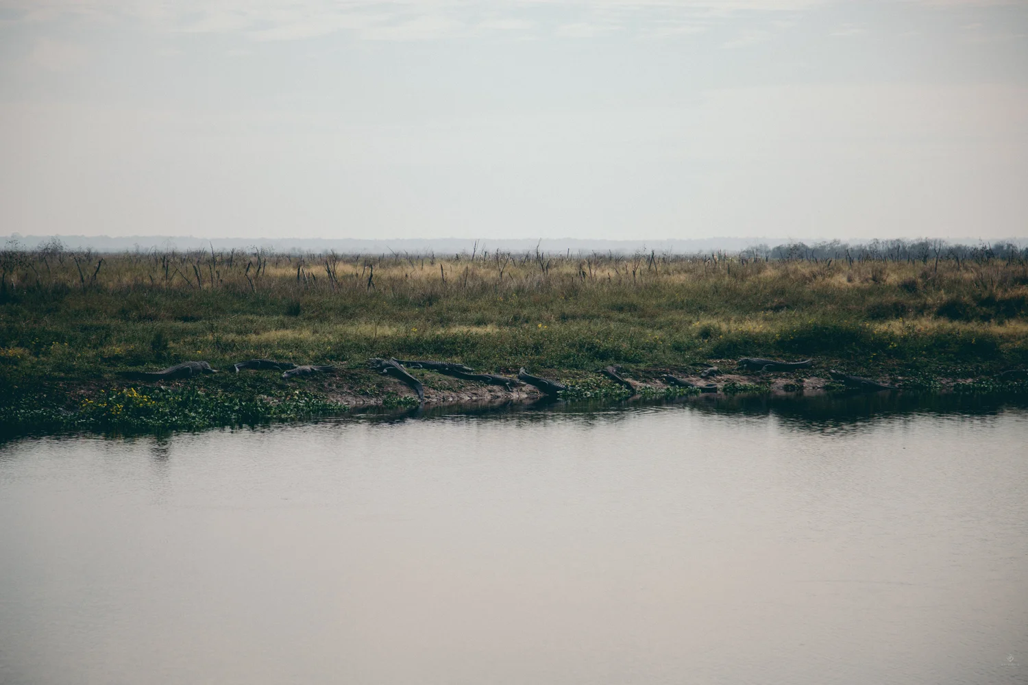 8A6A3347.jpg