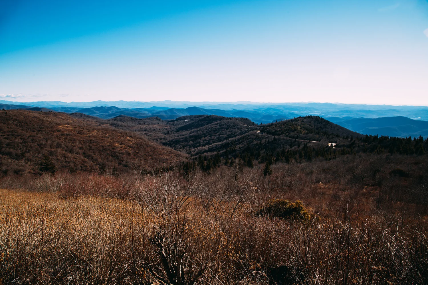 field-eastern-us