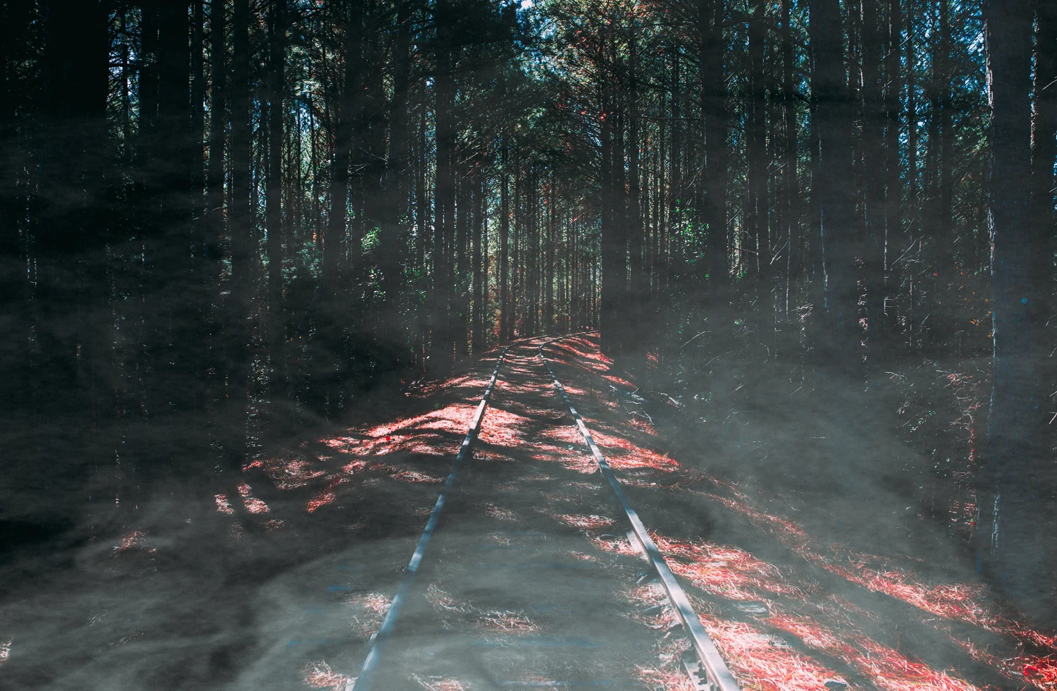 hiking-path