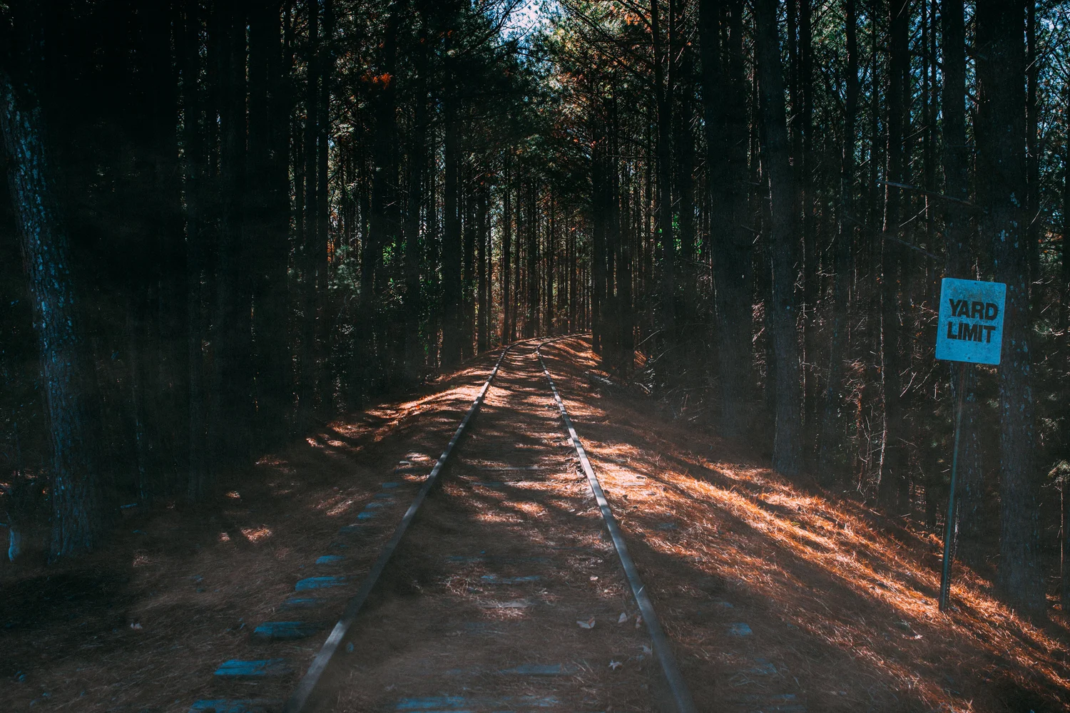 hiking-path