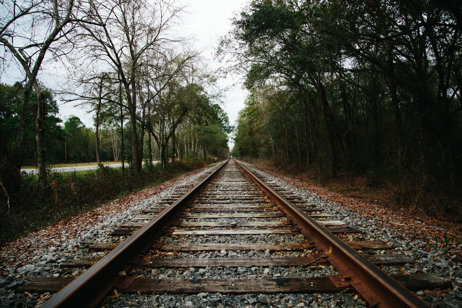 long-railroad-perspective